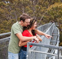 Valley of the Giants Tree Top Walk - Accommodation in Brisbane
