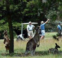 Glen Innes Golf Club - Accommodation in Brisbane