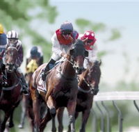 Colac Turf Club - Accommodation in Brisbane