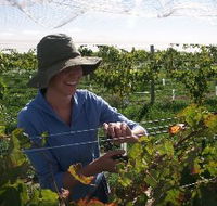 Kingsdale Wines - Accommodation in Brisbane
