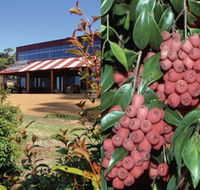 Bushfood Factory and Cafe - Accommodation in Brisbane