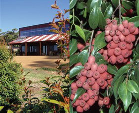 Bushfood Factory And Cafe - Accommodation in Brisbane 0