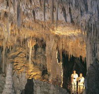 Mammoth Cave - Accommodation in Brisbane