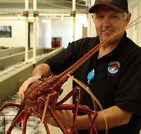 Lobster Shack - Accommodation in Brisbane