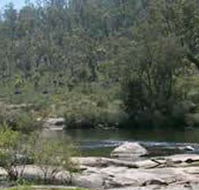 Wellington Discovery Forest - Accommodation in Brisbane