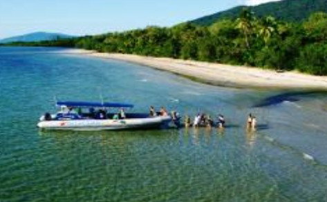 Ocean Safari - Accommodation in Brisbane 0