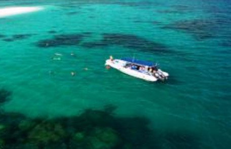 Ocean Safari - Accommodation in Brisbane 1