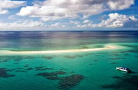 Ocean Safari - Accommodation in Brisbane 2