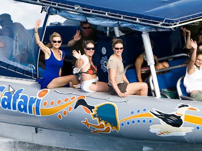 Ocean Safari - Accommodation in Brisbane 3