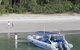 Ocean Safari - thumb 4