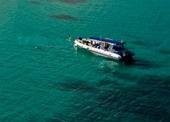 Ocean Safari - Accommodation in Brisbane 5