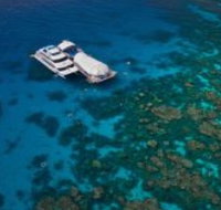 Great Adventures Reef and Green Island Cruises - Accommodation in Brisbane