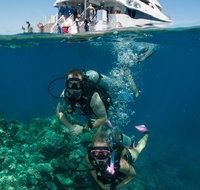 Down Under Cruise and Dive - Accommodation in Brisbane