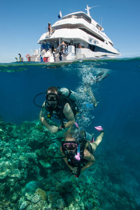 Down Under Cruise And Dive - Accommodation in Brisbane 0