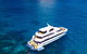 Down Under Cruise And Dive - thumb 1