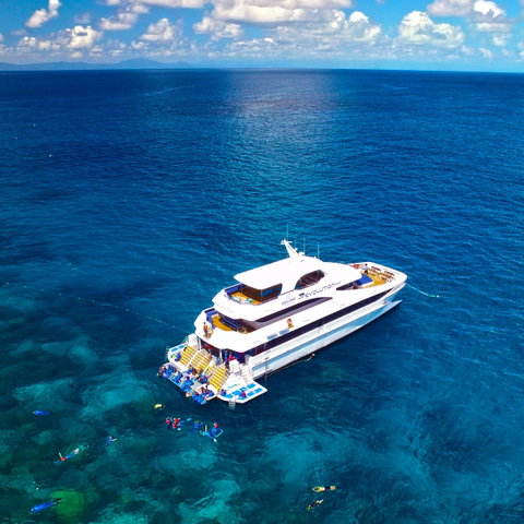 Down Under Cruise And Dive - Accommodation in Brisbane 1