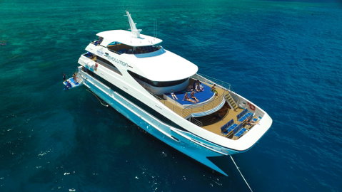 Down Under Cruise And Dive - Accommodation in Brisbane 2