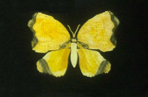 Ashworths - Accommodation in Brisbane