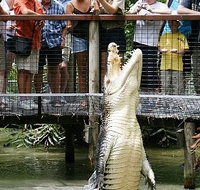 Hartley's Crocodile Adventures - Accommodation in Brisbane
