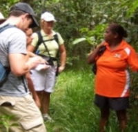 Ingan Tours - Spirit of the Rainforest Tour - Accommodation in Brisbane