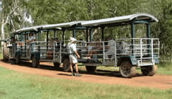 Whitsunday Crocodile Safari - Accommodation in Brisbane 2