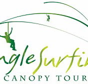 Jungle Surfing Canopy Tours and Jungle Adventures Nightwalks - Accommodation in Brisbane
