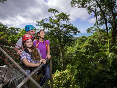 Jungle Surfing Canopy Tours And Jungle Adventures Nightwalks - Accommodation in Brisbane 1
