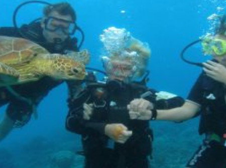 Brinsmead QLD Accommodation in Brisbane