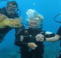 Yardarm Pty Ltd t/a Passions of Paradise - Accommodation in Brisbane