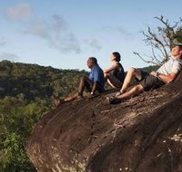 Cooktown Aboriginal Art Tours - Accommodation in Brisbane