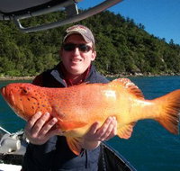 Gone Fishing by Coral Sea Fishing Charters Airlie Beach - Accommodation in Brisbane