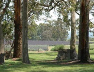 Pikedale QLD Accommodation in Brisbane