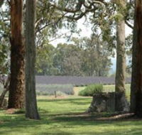 Aloomba Lavender - Accommodation in Brisbane