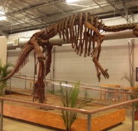 Australia's Dinosaur Trail - Accommodation in Brisbane