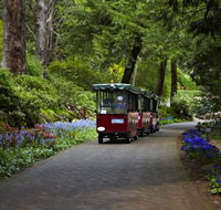 Araluen Botanic Park - Accommodation in Brisbane