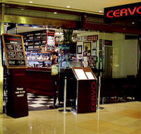 Cervo - Accommodation in Brisbane
