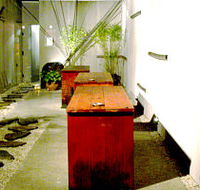 Koi - Accommodation in Brisbane