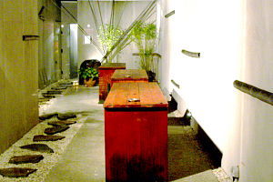 Koi - Accommodation in Brisbane 0