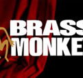The Brass Monkey - Accommodation in Brisbane