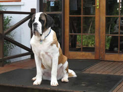 Mt Tamborine QLD Accommodation in Brisbane