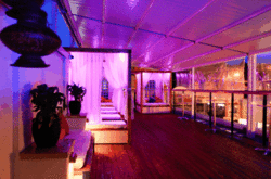 Circus Bar  Night Club - Accommodation in Brisbane