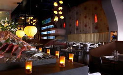 Ocean Room - Accommodation in Brisbane 1
