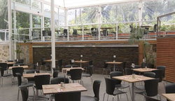 Tea Tree Gully Hotel - Accommodation in Brisbane 3