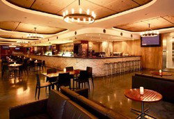 Martin Place Bar - Accommodation in Brisbane 0