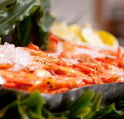Food Fantasy - Accommodation in Brisbane
