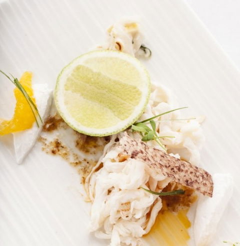 Salt Cellar - Accommodation in Brisbane 1