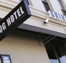 Skinny Dog Hotel - Accommodation in Brisbane