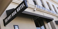 Skinny Dog Hotel - Accommodation in Brisbane 0
