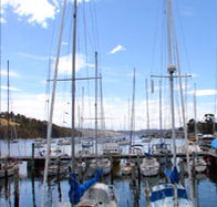 Oyster Cove Inn - Accommodation in Brisbane
