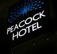Peacock Inn Hotel - Accommodation in Brisbane